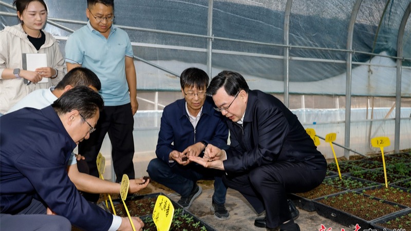 胡昌升在庆阳平凉调研时强调抓实常态化帮扶促进乡村全面振兴 推动城市高质量发展造福人民群众